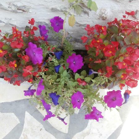 מלון Médis Le Clos Fleuri מראה חיצוני תמונה